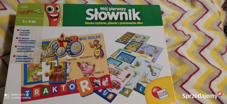 KAROTKA MÓJ PIERWSZY SŁOWNIK CZYTANIE I PISANIE Poznań