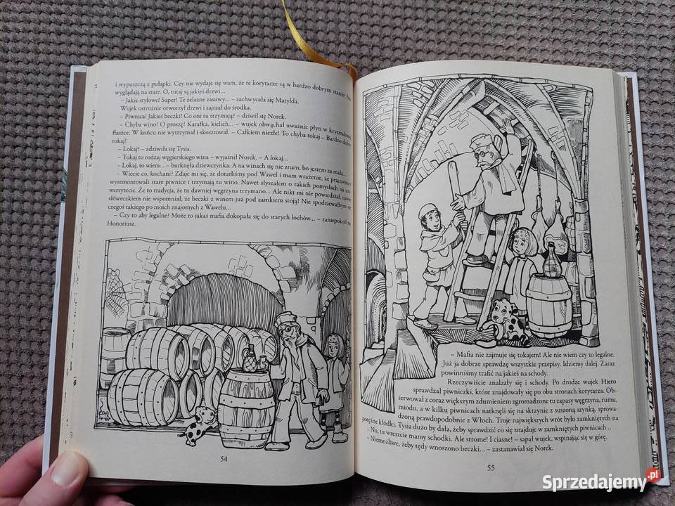 Krakowska przygoda Matyldy Niespodziewanej i ISBN 9788376234731 Kraków