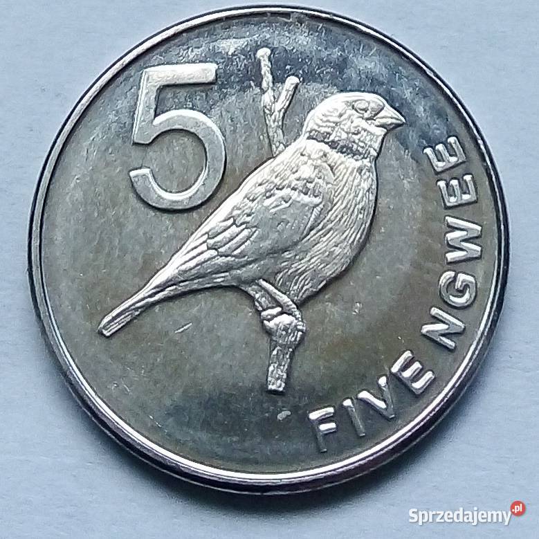 ZAMBIA5 NGWEE2012 r PTAK Legionowo