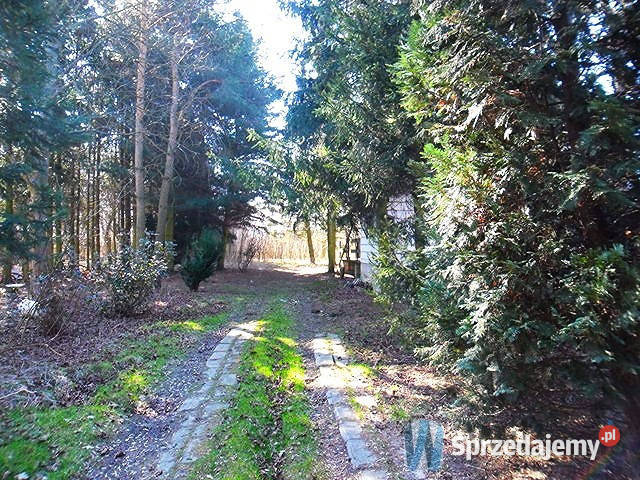 Ogłoszenie grunt Radom Marglowa 13370m2 prąd mazowieckie