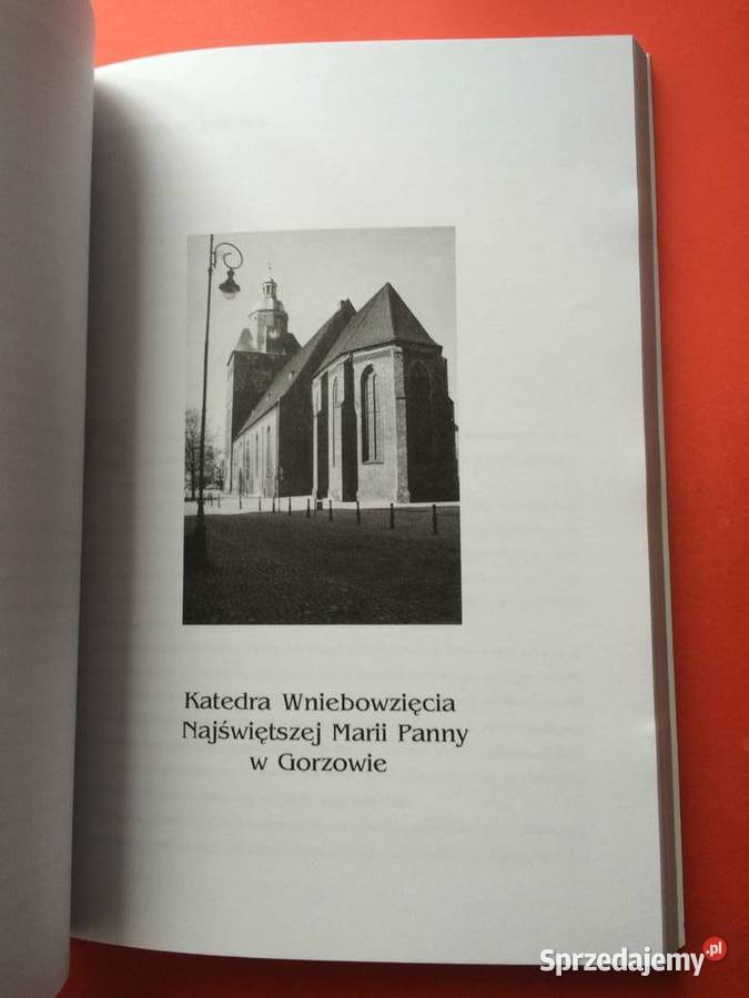 2376 W Cieniu Trzech Katedr Szczecin