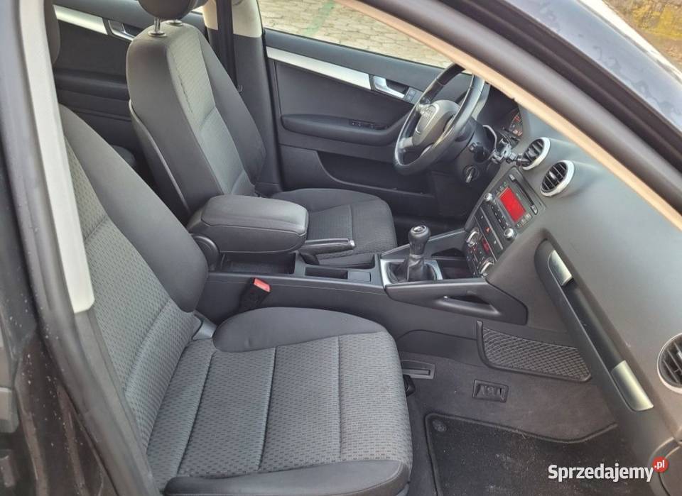 Audi A3 8P 19TDI 105