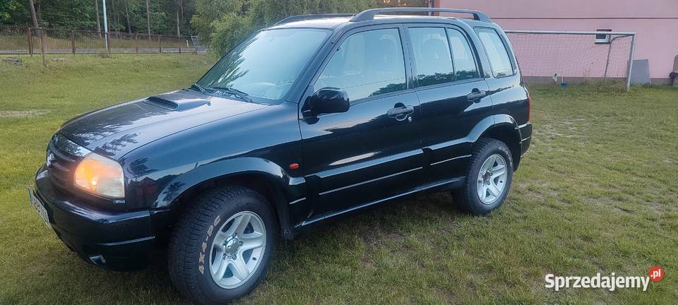 Grand Vitara 20 HDi 2004r Grand Vitara Lipsko