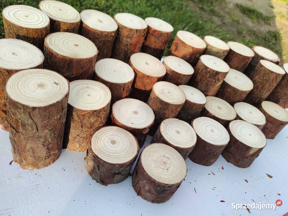 Pieńki plastry suche sosna różne średnice i Kulno