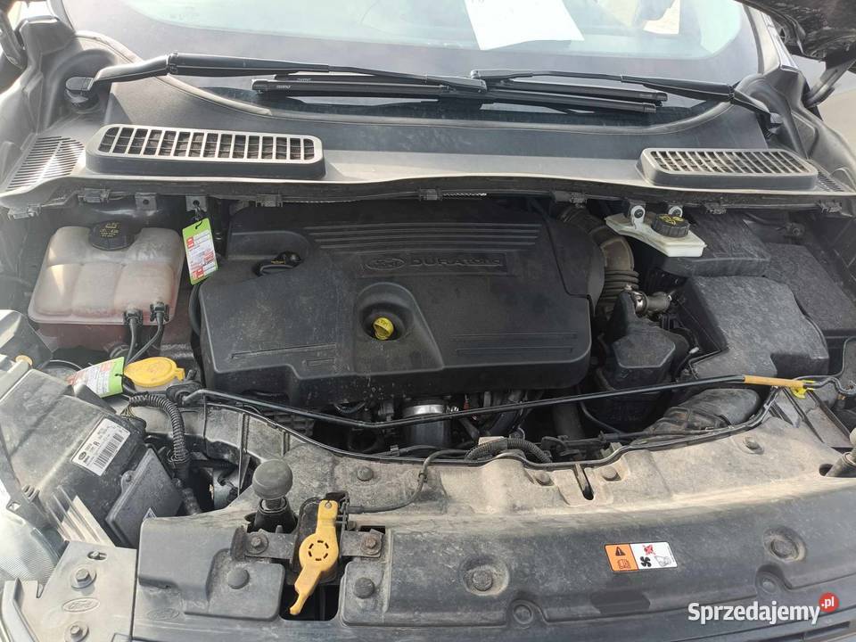 Ford Kuga II mazowieckie Grójec