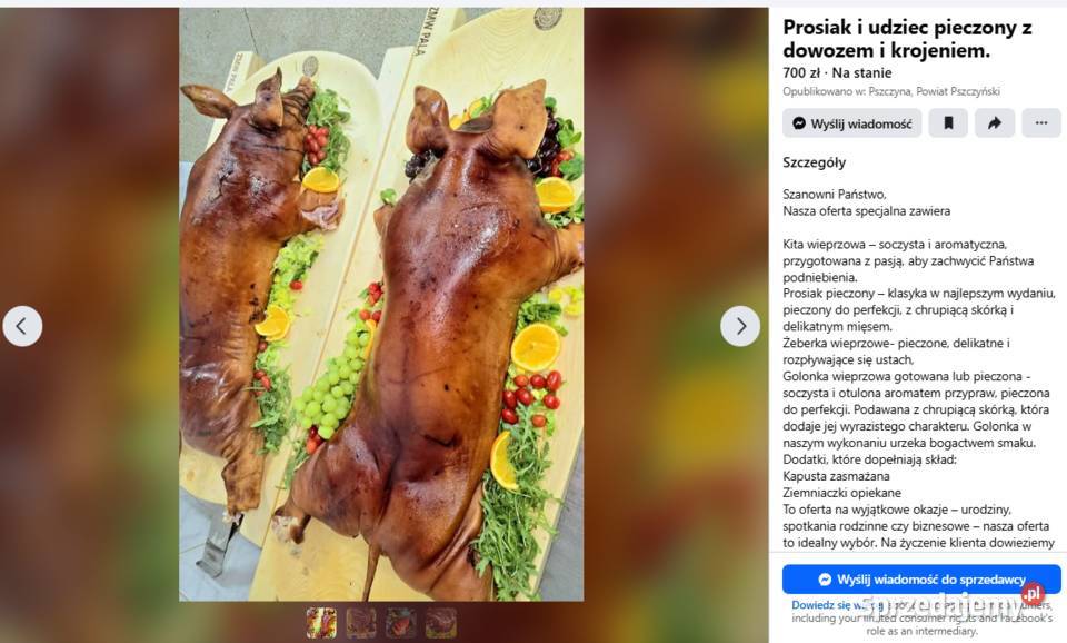 pasza do tuczenia siwn 67cm Dla Dziecka Stolec sprzedam