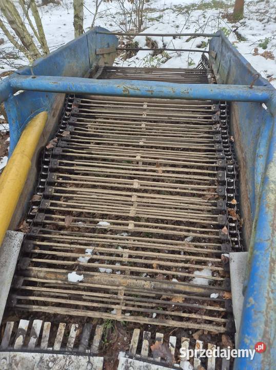 Kopaczka elewatorowa dwurzędowa do ziemniaków małopolskie Bucze