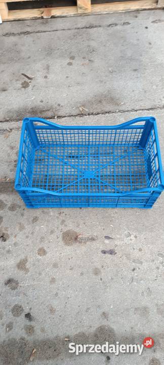 Skrzynka plastikowa Kaski