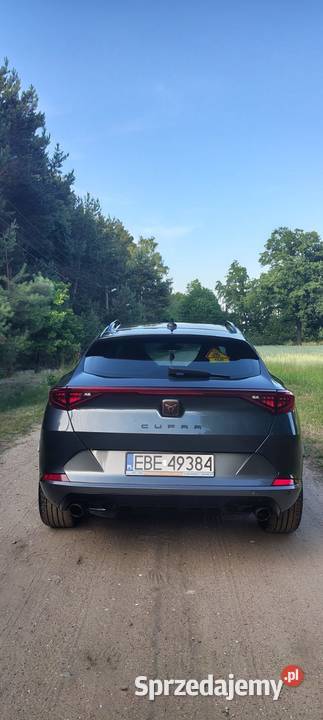 Cupra Formentor VZ 20 TSI 245 2022 klimatyzacja