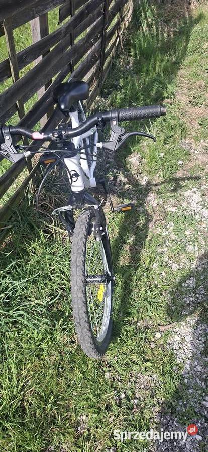 Rowerek dziecka Bolesławiec