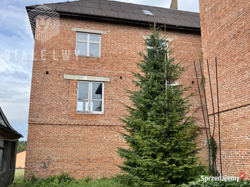 Lokal Przesiadłów 1000m2 Sprzedaż