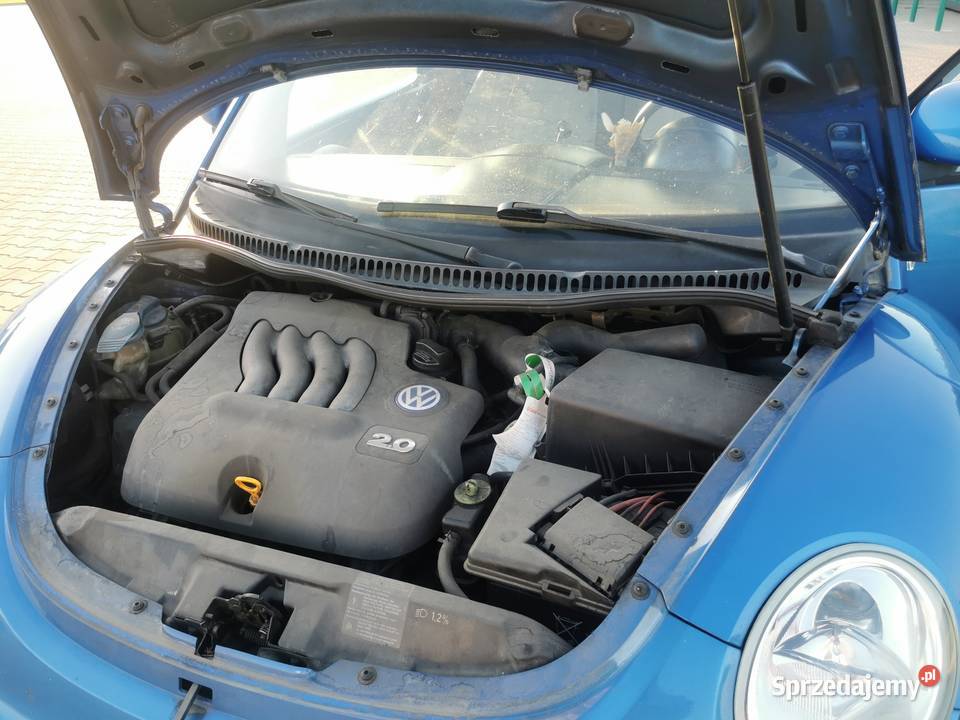 Beetle 116KM