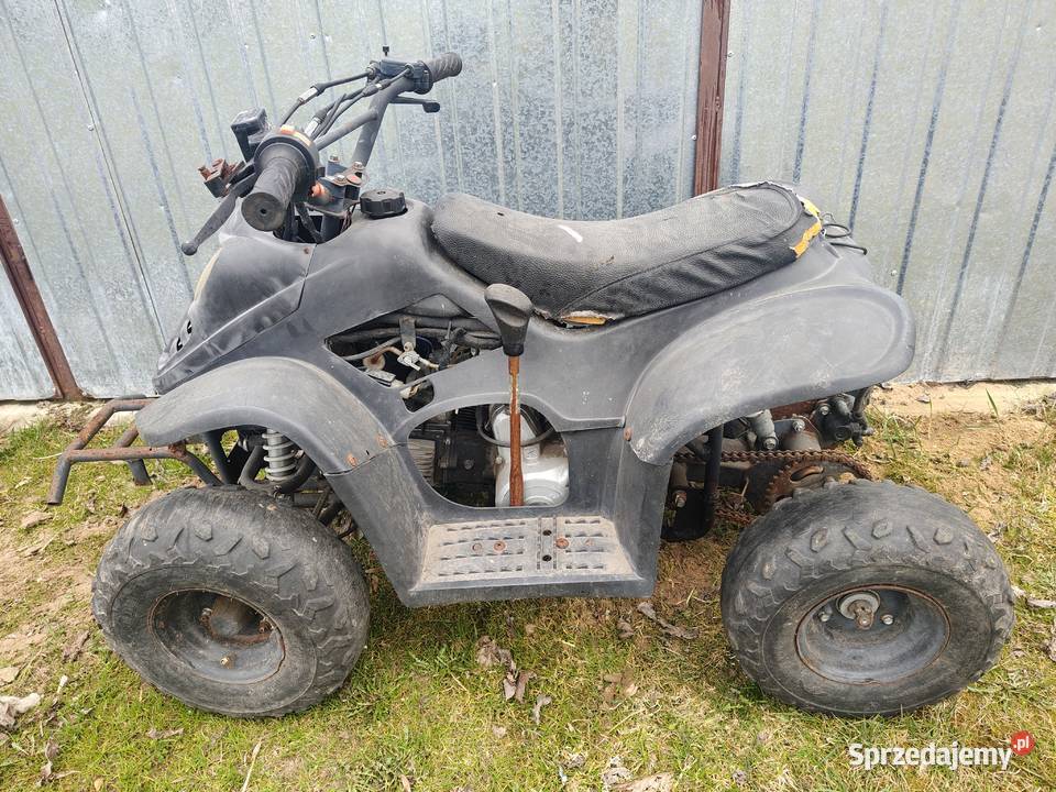 Quady do poprawek Starzenice