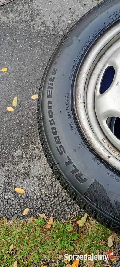 3 opony wielosezon 1657014 trazano Elite z401