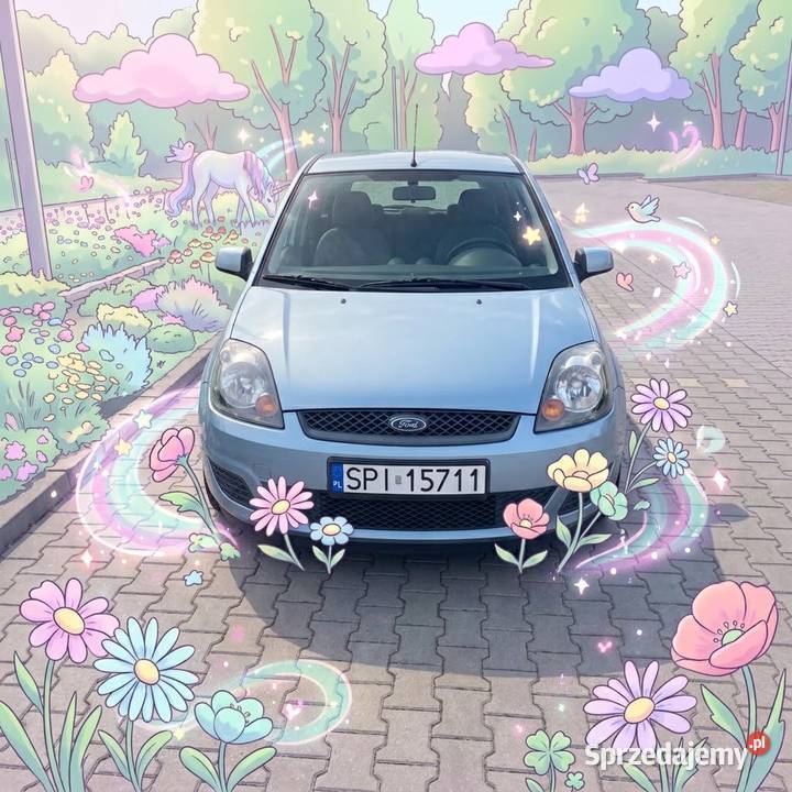 Bryka co się nie potyka Fiesta Jastrzębie-Zdrój