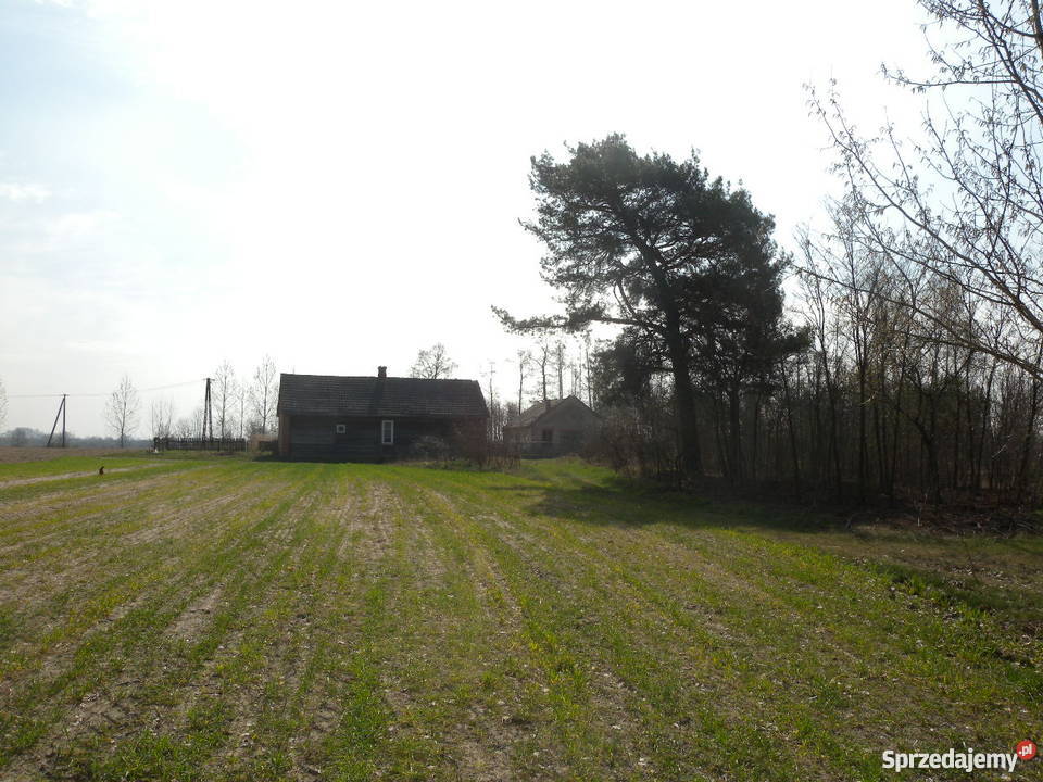 Sprzedam KozieniceChinów duża działkę Grunty i działki Chinów sprzedam