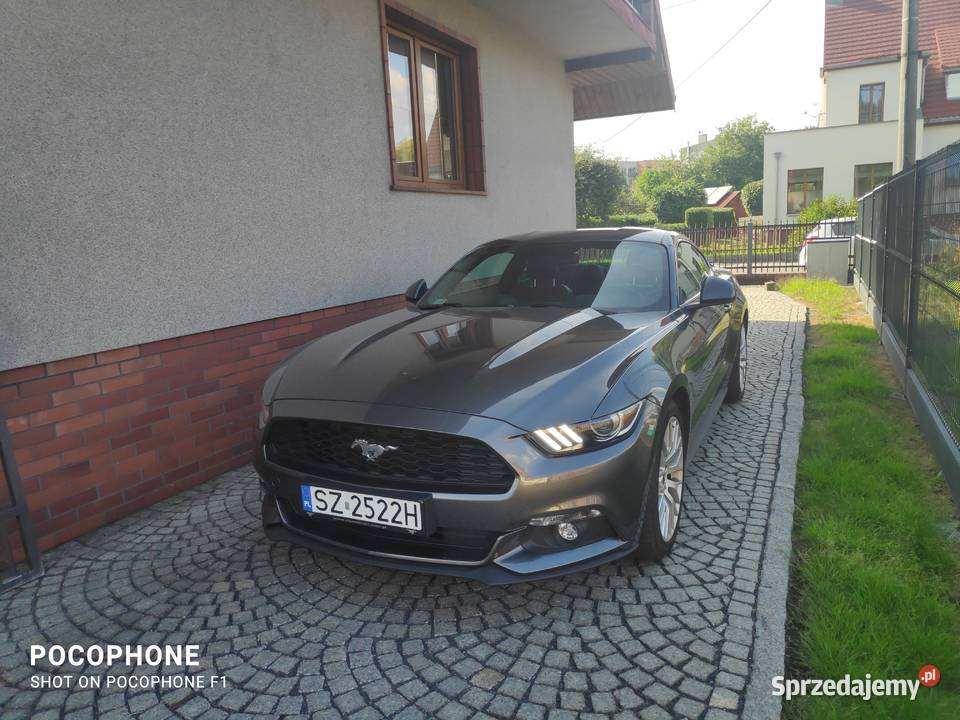 Ford Mustang 23 nieuszkodzony Mustang