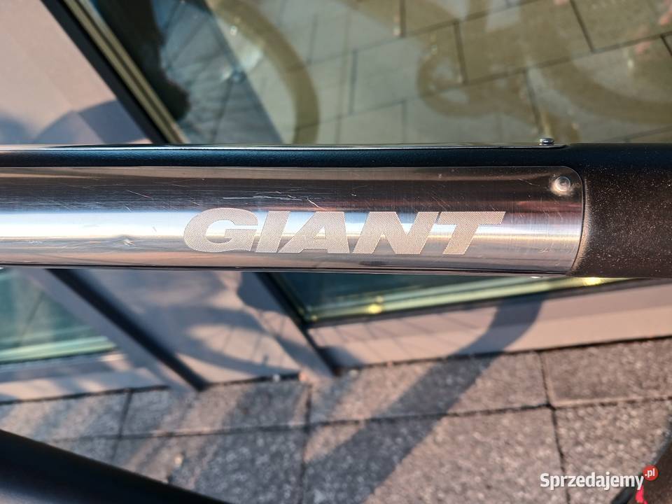 Giant Trekkingowe Puławy