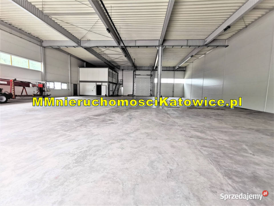 Hala magazyn do wynajęcia śląskie Katowice plac