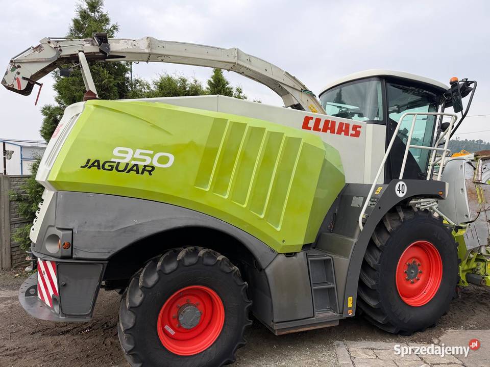 Sieczkarnia do kukurydzy Claas Jaguar 950 w sprzedam