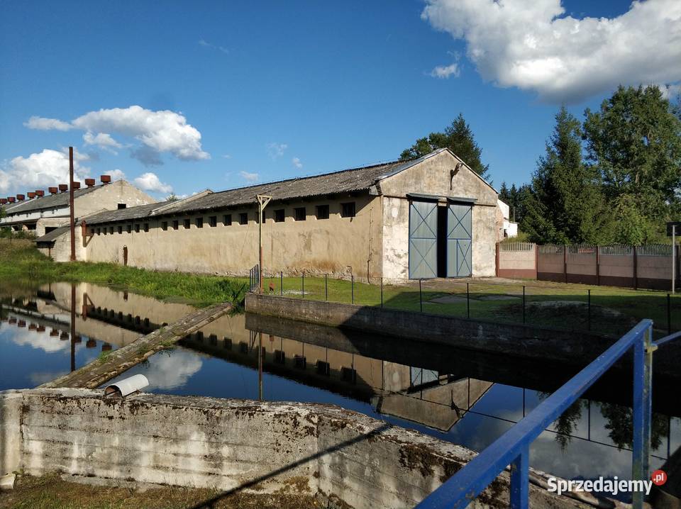 Elektrownia Wodna 130kW 15ha gruntu magazyn Biznes i Przemysł Gołdap