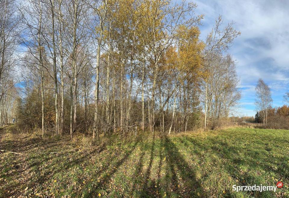 Działka budowlana Nieruchomości Wymiarki
