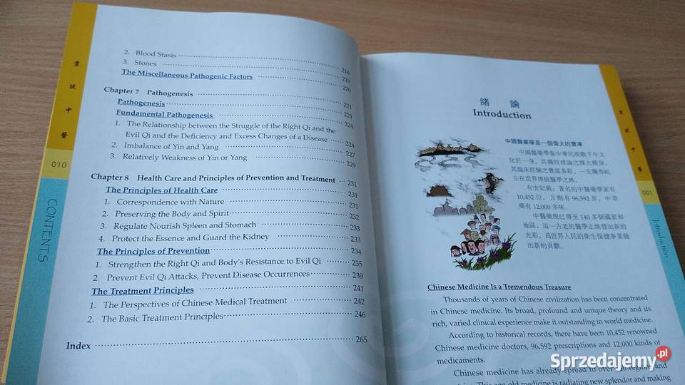 An illustrated guide to Chinese medicine Yibing Gdańsk sprzedam