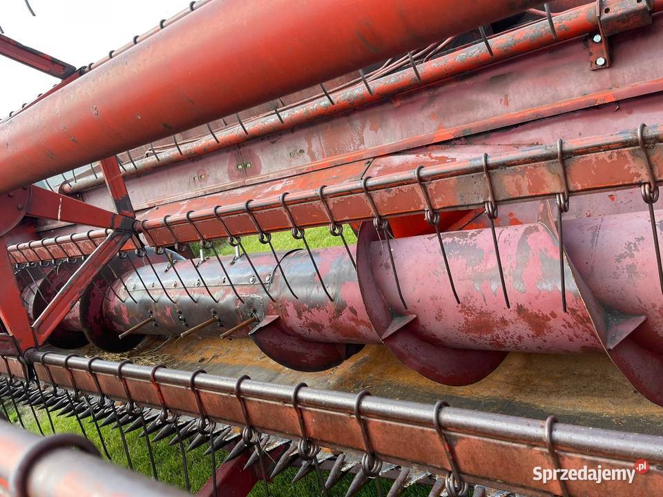 Sprzedam Bizon ZO50 Kotulin