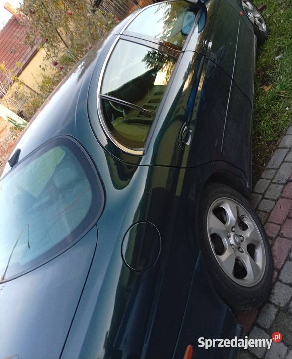 Sprzedam jaguar Włocławek