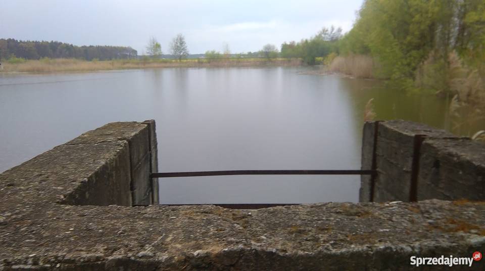 Staw rybny Szczodrów sprzedam