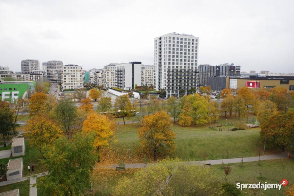 Bezpośrednio sprzedam mieszkanie 696 m2 internet Warszawa sprzedam