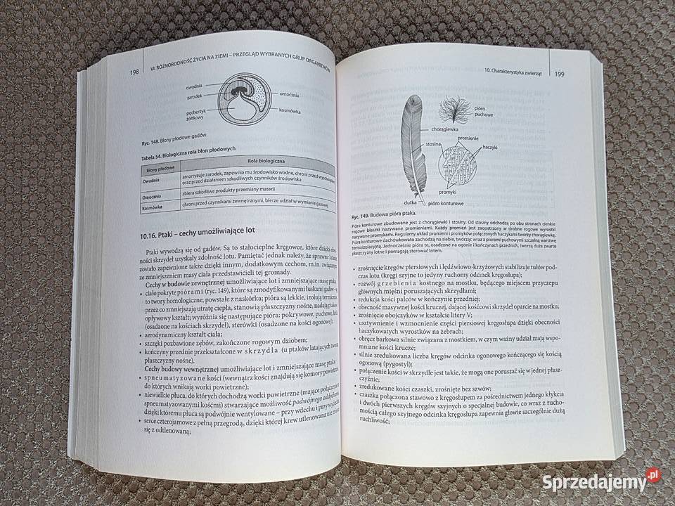 Biologia Vademecum maturzysty Ewa PyłkaGutowska Kraków
