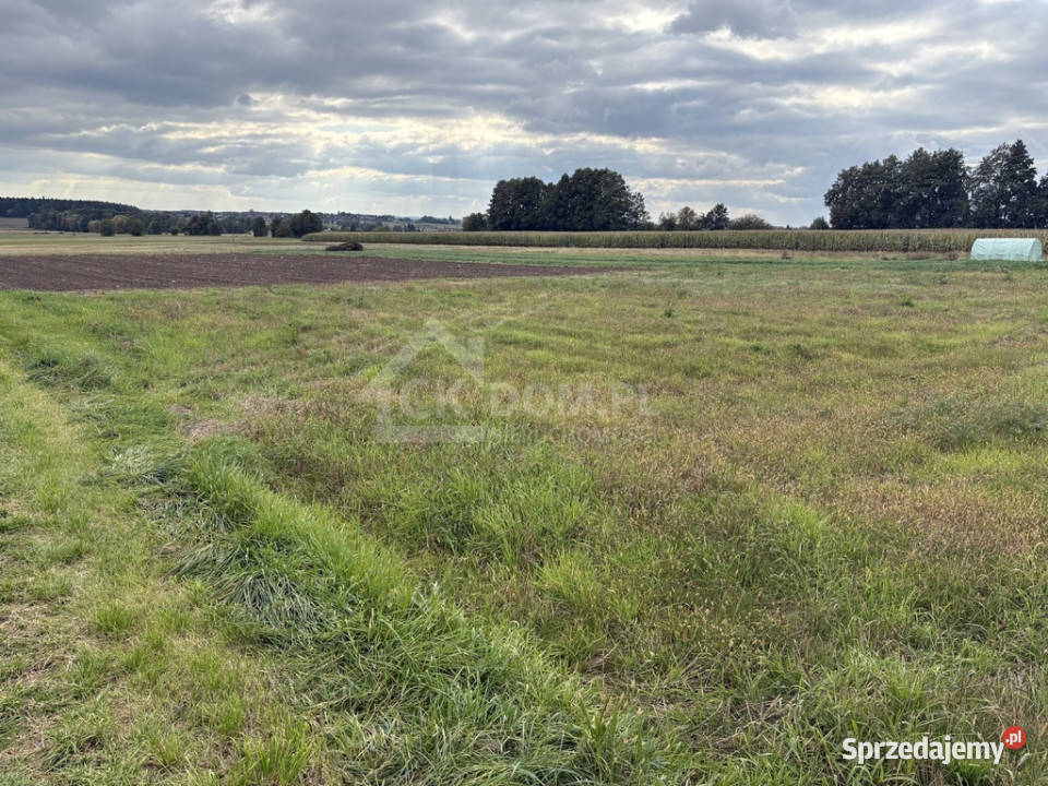 Działka pod wymarzony dom Oblęgór