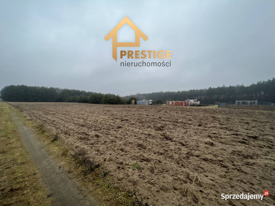 Działki rekreacyjne Jeziorem Powidzkim Skrzynka