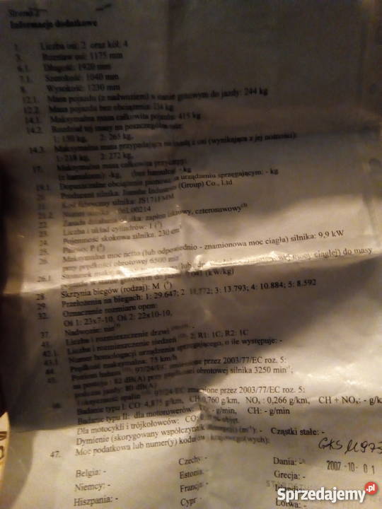 Quad Bashan Bs250S5 250cm3 Wielki Klincz