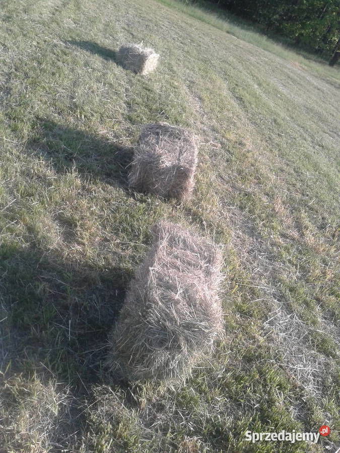 Siano w kostkach snopki śląskie Mierzęcice