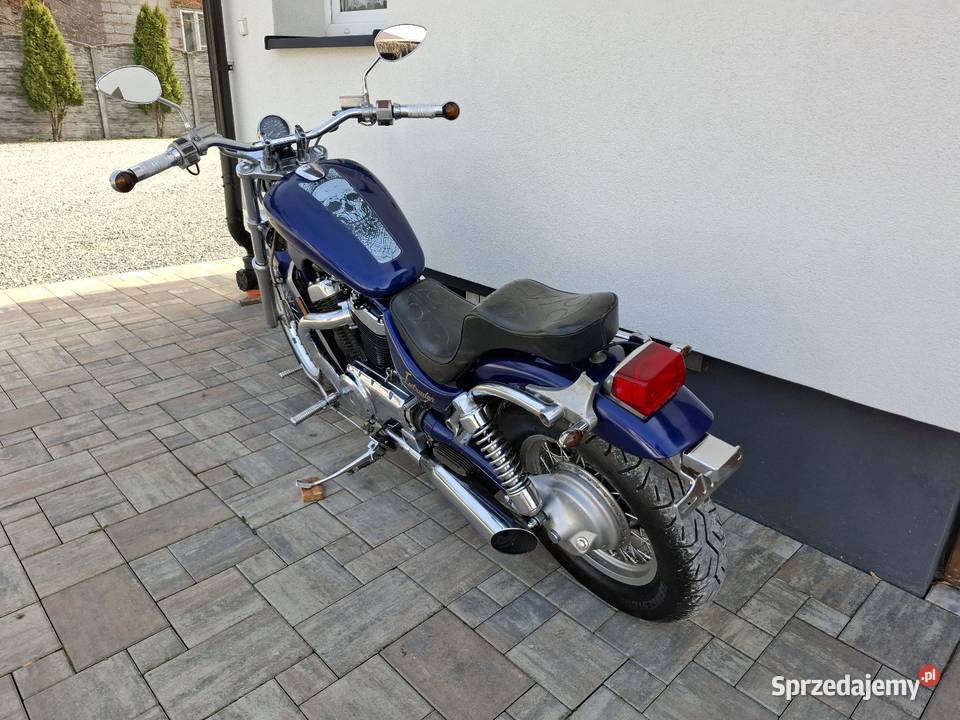 Suzuki vs 800 intruder 27 koni A2 519426269 Chobrzany