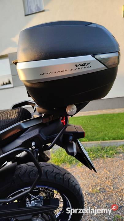 Suzuki vstrom 650 Trześń