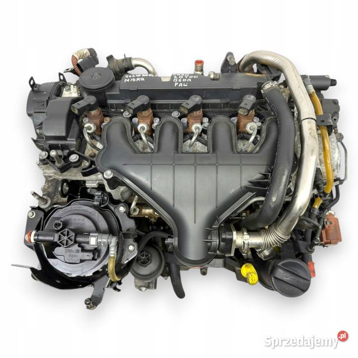 SILNIK G6DA Ford C C Focus MK2 20 TDCI 136 G6DB Chełm