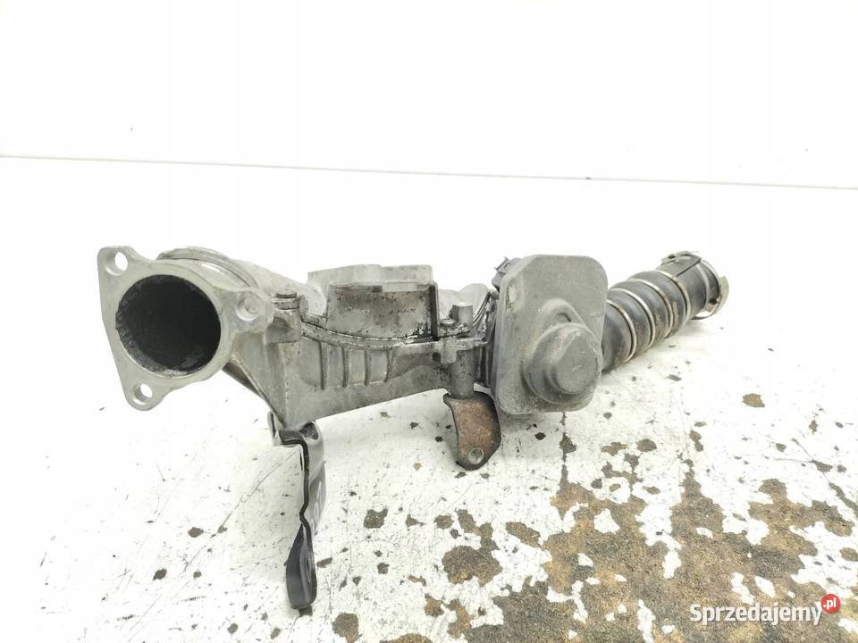 PRZEPUSTNICA 20 TDCI Ford Focus Mk3 20102019 sprzedam