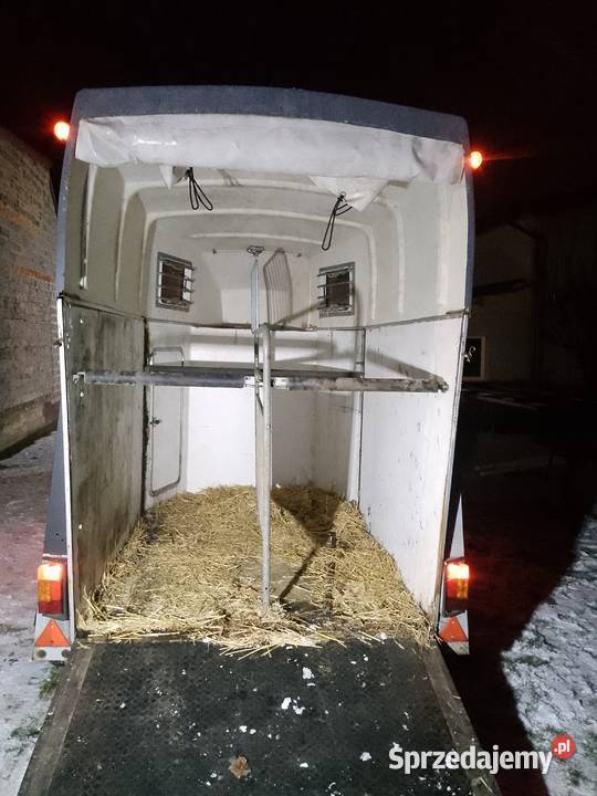 Przyczepa do przewozu koni towarowe Rybnik