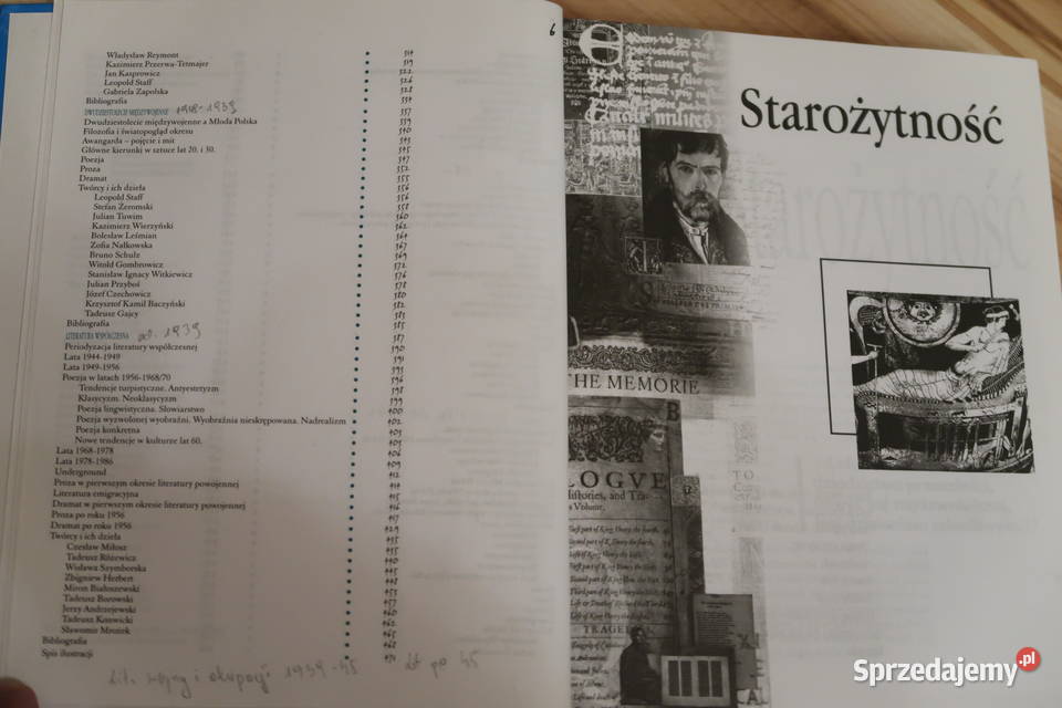 Dzieje literatury w epokach antyku do Siedlce sprzedam