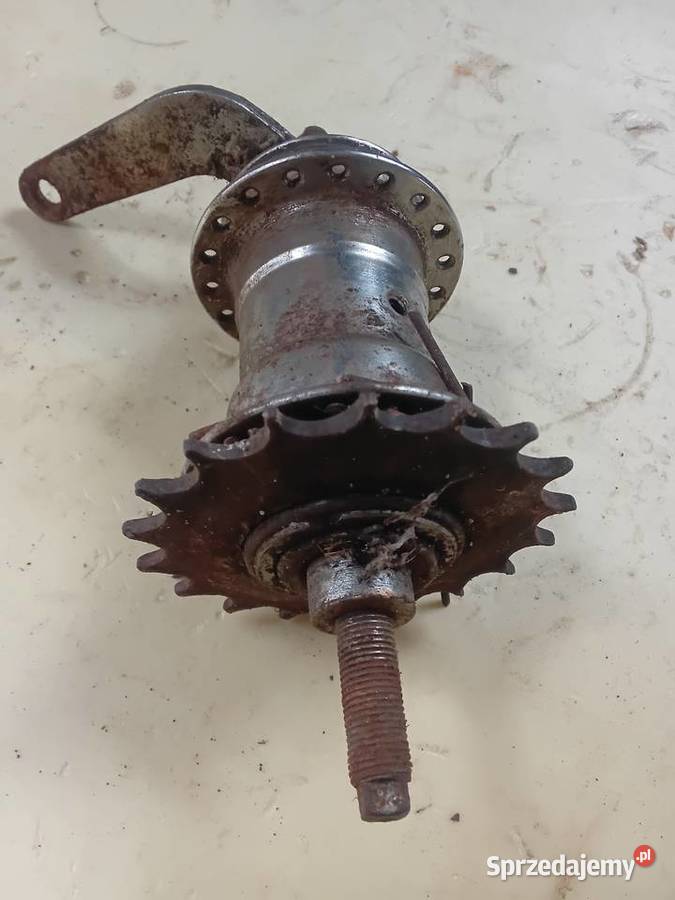 Torpedo Renak Milejewo