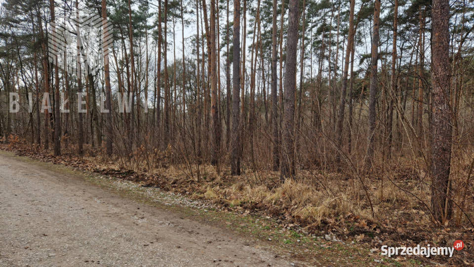 sprzedaży gruntu Łomianki Leśnych Dębów 2700
