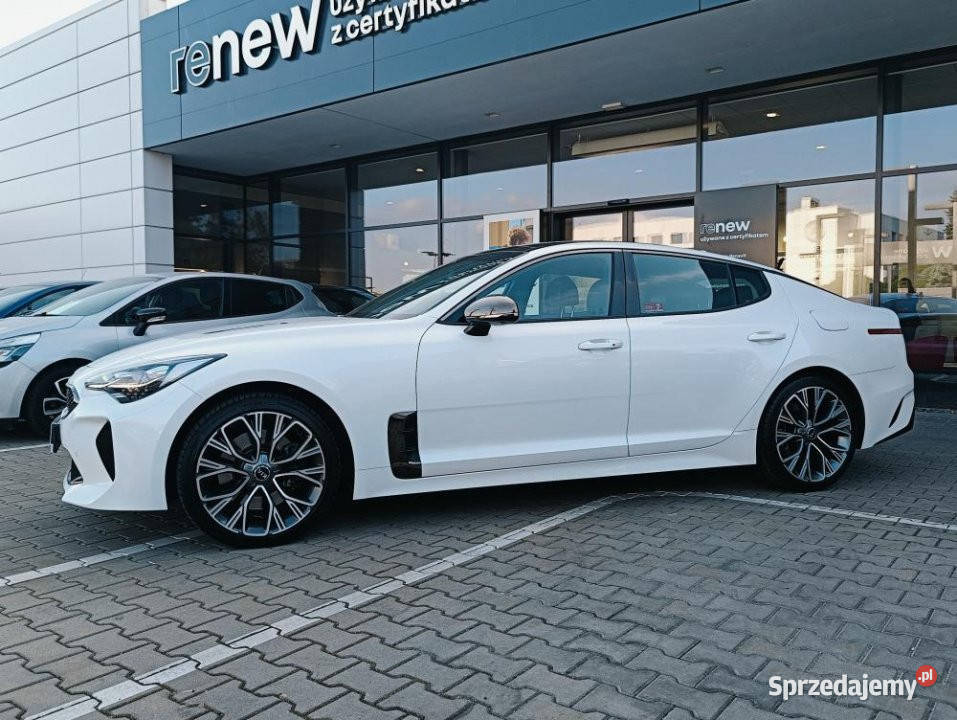 KIA Stinger 2020r Salon Historia ASO Bogata Rok produkcji 2020 mazowieckie Warszawa