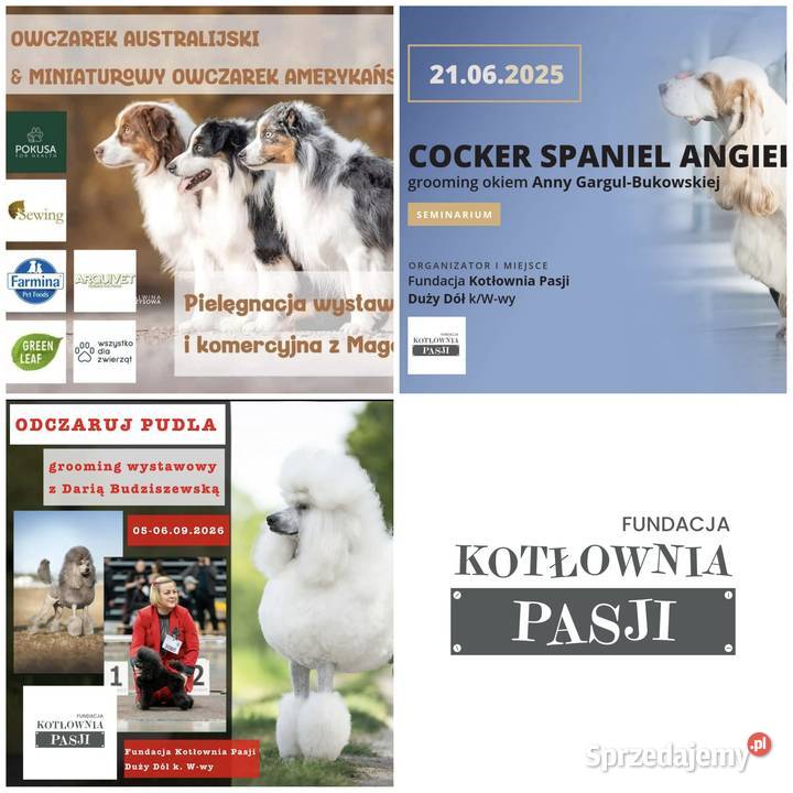 Szkolenia GROOMERÓW Duży Dół