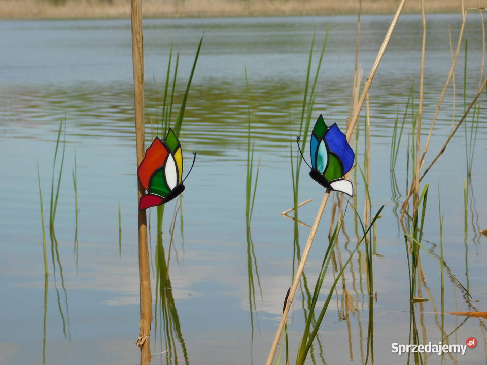 Rękodzieło witraże motylki witrażowe zestaw Bugaj