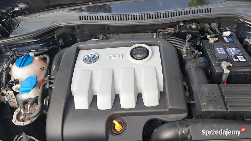 seat Leon 19 TDI 2010 Żerków