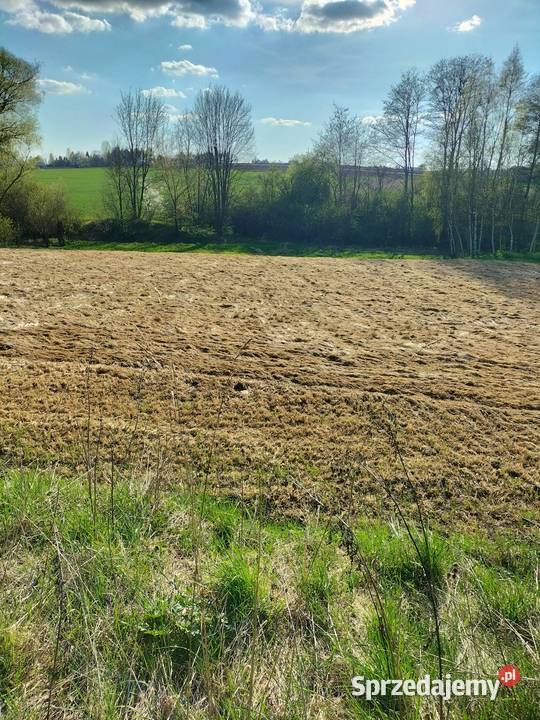 30ar Kościejów gm Racławice