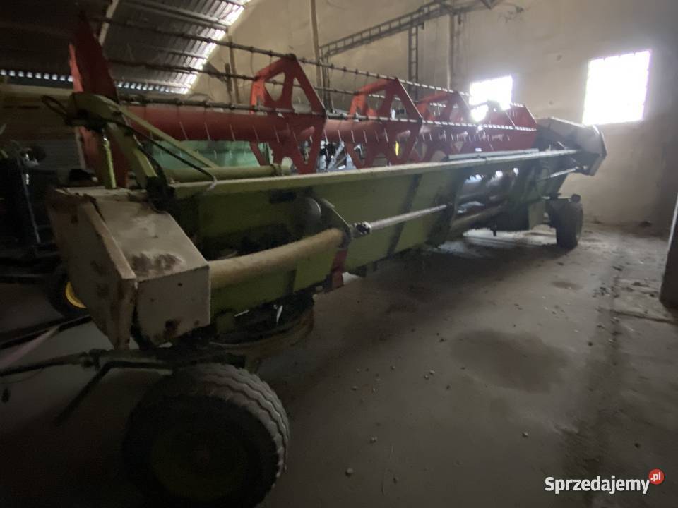 Claas Mega 218 stół do rzepaku Międzylesie
